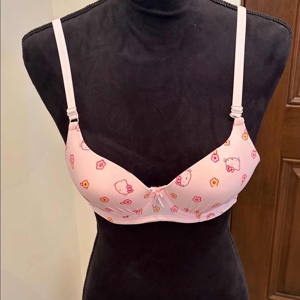 Hello Kitty Pink and Orange Patterned Floral Kawaii Bra (Never Worn)